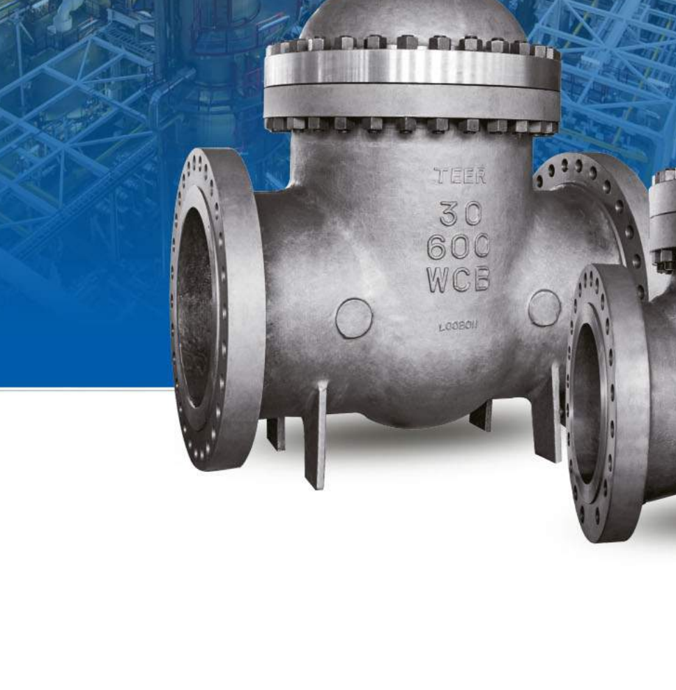 Cast steel gate valve