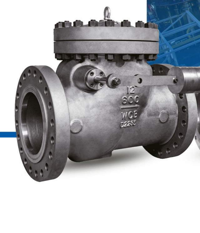 Swing check valve