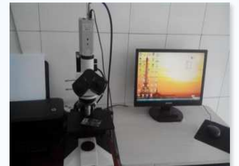 Metallurgical microscope