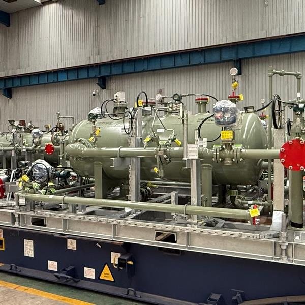 Packaged process skid complete with piping and instruments